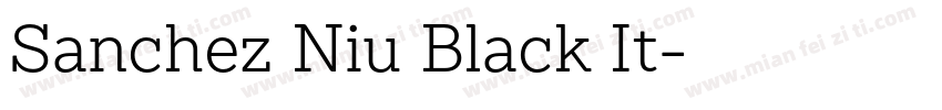 Sanchez Niu Black It字体转换